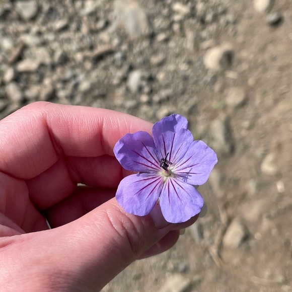 Welcome to my closet!! Meet your posher!! - Picture 5 of 5